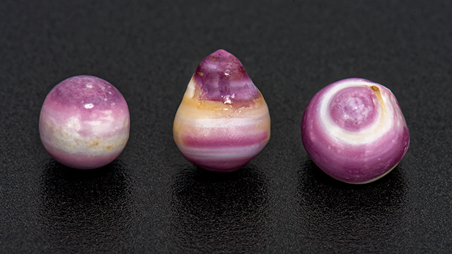 Purple and white non-nacreous pearls Purple and white non-nacreous pearls