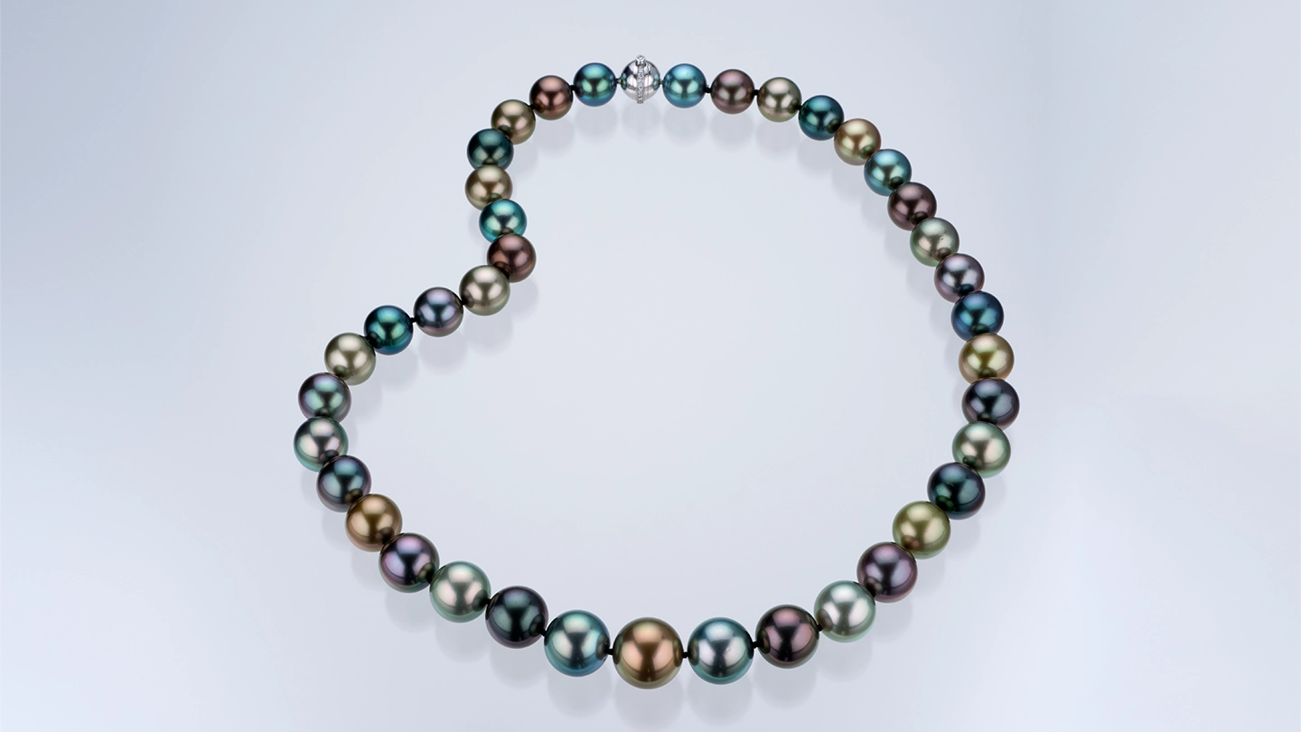 Multicolored Tahitian pearl necklace strand. Multicolored Tahitian pearl necklace strand.