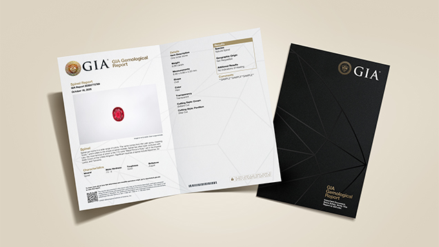 CS Report Conversion Promo CS Report Conversion Promo