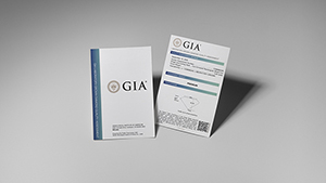 LGQA Images 