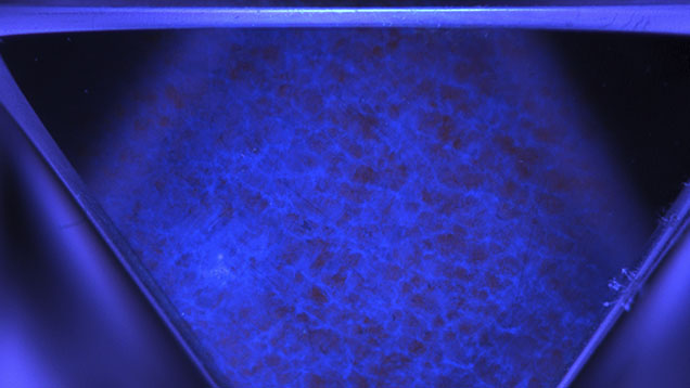 Figure 4. DiamondView image of one of the {100} oriented faces adjacent to the final growth surface of the original CVD synthetic. It shows low-intensity orange background emission and a network of blue dislocation-related luminescence, consistent with columnar growth typical of CVD synthetic diamonds. Image by Sema Firat; field of view 9.0 mm.
