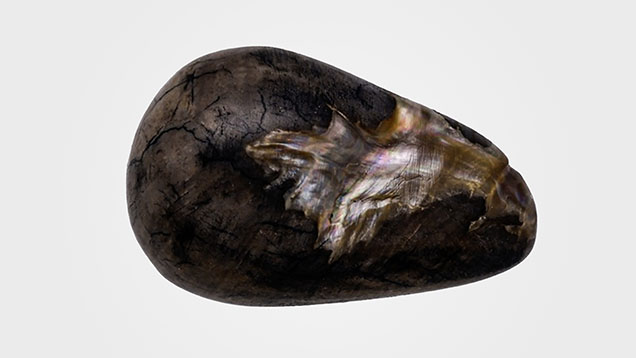 Figure 1. The fashioned dyed shell weighing 17.99 ct and measuring 19.58 × 12.25 mm. Photo by Gourav Bera. Figure 1. The fashioned dyed shell weighing 17.99 ct and measuring 19.58 × 12.25 mm. Photo by Gourav Bera.