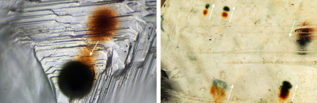 Figure 11. Photomicrographs of radiation stains demonstrating shifting. Left: Green and brown radiation staining on a rough diamond from Guyana (Guy503). The similar size and shape of the round radiation stains, as well as the diffuse staining connecting the two more opaque centers, indicates that this diamond either experienced heating and subsequent cooling before the deposition of the newer green radiation stain or was subjected to different irradiation events over time (e.g., Vance et al., 1973; Raal and Robinson, 1980). The direction that the irradiated region changed over time is indicated by an arrow, from older to newer staining. Photomicrograph by Taryn Linzmeyer; field of view 0.288 mm. Right: Multiple stages of shifting are indicated by the two directions of displacement of the older brown and younger green stains (upward-pointing arrows indicate stains on the top surface of the diamond, and the downward-pointing arrow indicates a view through the diamond to radiation stains located on the bottom surface). Photomicrograph by Sally Eaton-Magaña; field of view 3 mm. Modified from Ardon and Eaton-Magaña (2020). Figure 11. Photomicrographs of radiation stains demonstrating shifting. Left: Green and brown radiation staining on a rough diamond from Guyana (Guy503). The similar size and shape of the round radiation stains, as well as the diffuse staining connecting the two more opaque centers, indicates that this diamond either experienced heating and subsequent cooling before the deposition of the newer green radiation stain or was subjected to different irradiation events over time (e.g., Vance et al., 1973; Raal and Robinson, 1980). The direction that the irradiated region changed over time is indicated by an arrow, from older to newer staining. Photomicrograph by Taryn Linzmeyer; field of view 0.288 mm. Right: Multiple stages of shifting are indicated by the two directions of displacement of the older brown and younger green stains (upward-pointing arrows indicate stains on the top surface of the diamond, and the downward-pointing arrow indicates a view through the diamond to radiation stains located on the bottom surface). Photomicrograph by Sally Eaton-Magaña; field of view 3 mm. Modified from Ardon and Eaton-Magaña (2020).