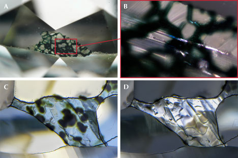 Figure 13. Faceted diamonds with preserved natural surfaces. A and B: Radiation staining coincident with cracks in the surface. This staining is likely deposited by radioactive fluids seeping through the cracks of adjacent mineral grains, resulting in a meshwork pattern. Photomicrographs by Taryn Linzmeyer; fields of view 3.57 mm and 0.72 mm. C and D: Radiation staining coincident with smooth, expanded surfaces. Image D was taken in reflected light to emphasize the surface topography. Photomicrographs by Nathan Renfro; field of view 2.24 mm. From Ardon (2021). Figure 13. Faceted diamonds with preserved natural surfaces. A and B: Radiation staining coincident with cracks in the surface. This staining is likely deposited by radioactive fluids seeping through the cracks of adjacent mineral grains, resulting in a meshwork pattern. Photomicrographs by Taryn Linzmeyer; fields of view 3.57 mm and 0.72 mm. C and D: Radiation staining coincident with smooth, expanded surfaces. Image D was taken in reflected light to emphasize the surface topography. Photomicrographs by Nathan Renfro; field of view 2.24 mm. From Ardon (2021).