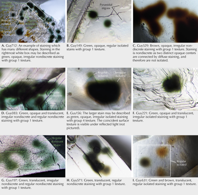 Figure 16. Examples of classified radiation stains. Photomicrographs by Taryn Linzmeyer; fields of view 0.72 mm (A) and 0.288 mm (B–I). Figure 16. Examples of classified radiation stains. Photomicrographs by Taryn Linzmeyer; fields of view 0.72 mm (A) and 0.288 mm (B–I).