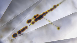 A Classification Scheme of Natural Radiation Stain Morphology and Texture on Diamond