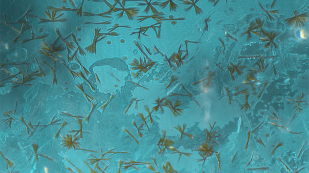 Goethite sprays in an apatite’s surface-reaching fracture. Photomicrograph by Michaela Damba and John Koivula; field of view 1.26 mm. Goethite sprays in an apatite’s surface-reaching fracture. Photomicrograph by Michaela Damba and John Koivula; field of view 1.26 mm.