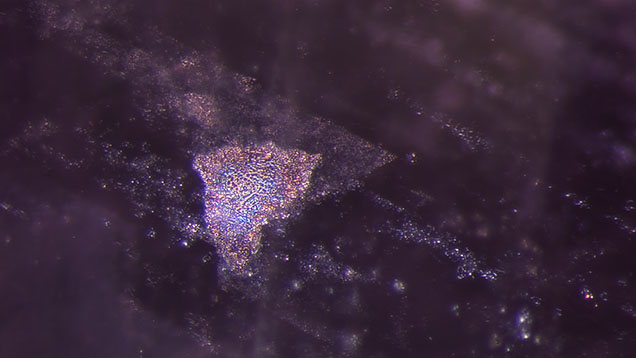 Figure 1. Complex planes with mottled particles in this heated spinel may be the remnants of oriented lamellae. Viewed in diffused fiber-optic lighting. Photomicrograph by E. Billie Hughes; field of view 1.6 mm.