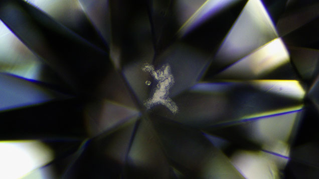This diamond’s cloud and crystal inclusions resemble a basketball player in action. Photomicrograph by Tejas Jhaveri and Nishant Shah; field of view 3.20 mm. This diamond’s cloud and crystal inclusions resemble a basketball player in action. Photomicrograph by Tejas Jhaveri and Nishant Shah; field of view 3.20 mm.