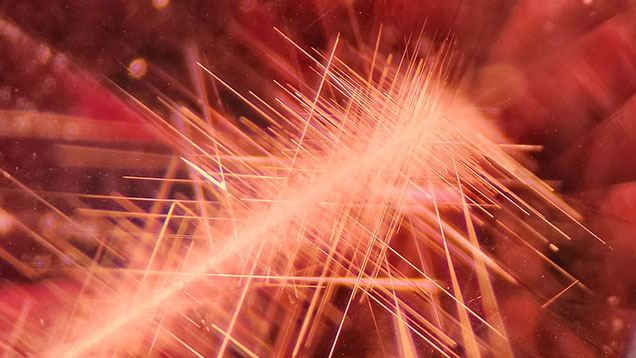 A collection of needle inclusions in a 2.30 ct pyrope-almandine garnet. Photomicrograph by Isabelle Corvin; field of view 2.5 mm. A collection of needle inclusions in a 2.30 ct pyrope-almandine garnet. Photomicrograph by Isabelle Corvin; field of view 2.5 mm.