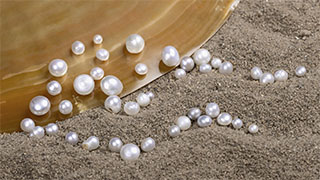 Diverse Range of Organic-Rich Cores in South Sea Non-Bead Cultured “Keshi” Pearls