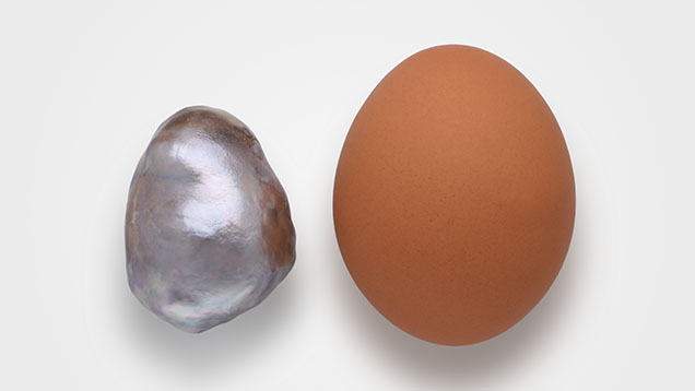 Figure 1. The South Sea bead cultured pearl measuring 42.97 × 33.43 × 31.00 mm and a large chicken egg (57 × 43 mm). Photo by Sood Oil (Judy) Chia.