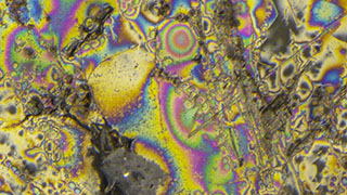 Spring 2026 Micro-World Banner Spring 2026 Micro-World Banner