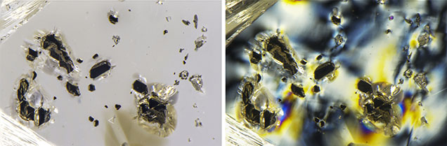 Figure 2. Top: Sometimes referred to as “carbon spots,” opaque black crystals of chromite are uncommon inclusions in diamonds. Bottom: Polarized light reveals the strain surrounding the scattered chromite crystals. Photomicrographs by Nathan Renfro; field of view 3.73 mm. Figure 2. Top: Sometimes referred to as “carbon spots,” opaque black crystals of chromite are uncommon inclusions in diamonds. Bottom: Polarized light reveals the strain surrounding the scattered chromite crystals. Photomicrographs by Nathan Renfro; field of view 3.73 mm.
