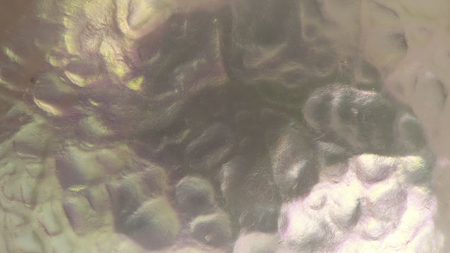A small natural pearl displays a reticulated pattern with indentations and distinct ridges, differing from the hammered texture commonly observed in pearls. Photomicrograph by Emiko Yazawa; field of view 3.57 mm.