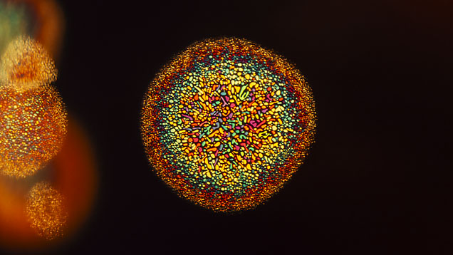 Thin-film decrepitation inclusions create a colorful mosaic pattern in a beryllium-diffused orange sapphire under diffused fiber-optic lighting. Photomicrograph by E. Billie Hughes; field of view 1.6 mm. Thin-film decrepitation inclusions create a colorful mosaic pattern in a beryllium-diffused orange sapphire under diffused fiber-optic lighting. Photomicrograph by E. Billie Hughes; field of view 1.6 mm.