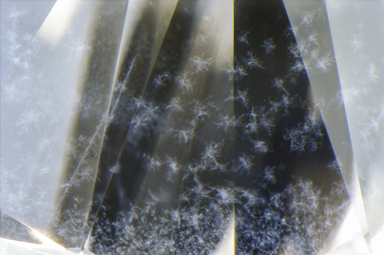 Figure 1. Rare cloud inclusions were observed in a 0.53 ct D-color diamond. Photomicrograph by Nathan Renfro; field of view 2.39 mm.