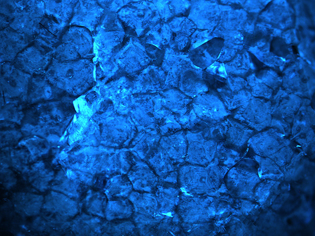 Fluorescence imaging shows bundled dislocation networks. Fluorescence imaging shows bundled dislocation networks.