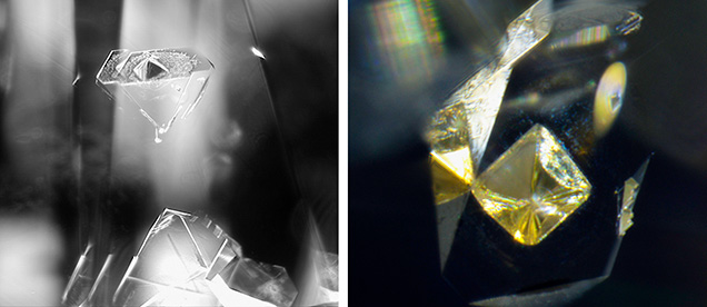 Left: Viewed from the pavilion of the 2.57 ct diamond, this transparent crystal inclusion with mirror image reflection resembles the profile of a faceted diamond under darkfield lighting. Image captured in monochrome; field of view 0.88 mm. Right: Using fiber-optic lighting, the crystal inclusion that appears opaque in the left image is displayed as a yellow octahedron; field of view 0.40 mm. Photomicrographs by Yagnesh Vyas (left) and Hemal Trivedi (right). Left: Viewed from the pavilion of the 2.57 ct diamond, this transparent crystal inclusion with mirror image reflection resembles the profile of a faceted diamond under darkfield lighting. Image captured in monochrome; field of view 0.88 mm. Right: Using fiber-optic lighting, the crystal inclusion that appears opaque in the left image is displayed as a yellow octahedron; field of view 0.40 mm. Photomicrographs by Yagnesh Vyas (left) and Hemal Trivedi (right).