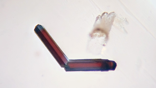 Topaz contains a twinned crystal inclusion resembling a boomerang. Topaz contains a twinned crystal inclusion resembling a boomerang.