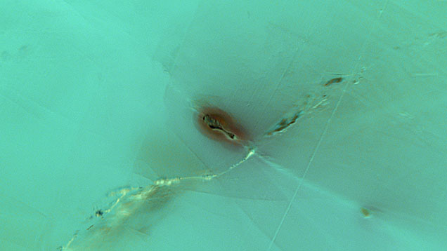 Figure 1. Top view of an altered etch tube in tourmaline resembling a drumstick of a chicken. Photomicrograph by Jamie Price; field of view 1.16 mm. Figure 1. Top view of an altered etch tube in tourmaline resembling a drumstick of a chicken. Photomicrograph by Jamie Price; field of view 1.16 mm.