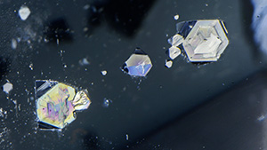 Figure 2. When viewed from the opposite side of the quartz host, the same gersdorffite inclusions display as hexagons. Photomicrograph by Nathan Renfro; field of view 8.11 mm. Figure 2. When viewed from the opposite side of the quartz host, the same gersdorffite inclusions display as hexagons. Photomicrograph by Nathan Renfro; field of view 8.11 mm.