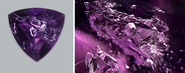 Amethyst with a large aqueous primary fluid inclusion