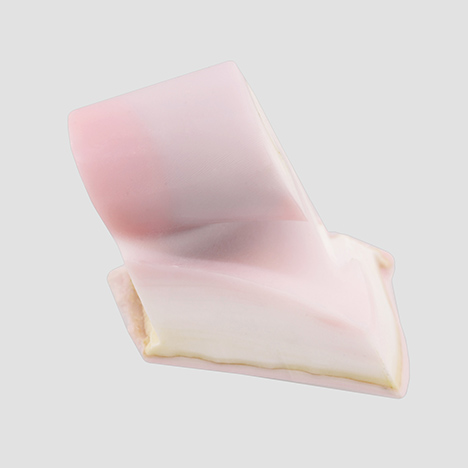 Hue and saturation changes observed on a piece of Queen conch shell after 15 minutes’ exposure to X-ray radiation. The shielded area is to the left of the boundary indicated by a blue line; the exposed area is to the right. Photo by Sood Oil (Judy) Chia.