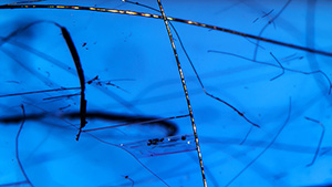 Merelaniite whisker inclusions in tanzanite.