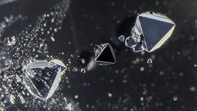 Figure 1. Octahedral gersdorffite inclusions in quartz appearing as triangles. Photomicrograph by Nathan Renfro; field of view 8.16 mm. Figure 1. Octahedral gersdorffite inclusions in quartz appearing as triangles. Photomicrograph by Nathan Renfro; field of view 8.16 mm.
