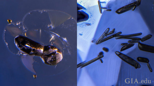 Two images of inclusions in sapphires. Two images of inclusions in sapphires.
