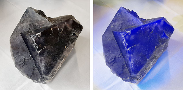Figure 2. A twinned fluorite crystal from Nigeria (approximately 7 inches in diameter) shown under fluorescent light (left) and long-wave UV light (365 nm, right). Courtesy of Jigga Collins. Figure 2. A twinned fluorite crystal from Nigeria (approximately 7 inches in diameter) shown under fluorescent light (left) and long-wave UV light (365 nm, right). Courtesy of Jigga Collins.