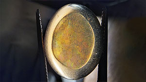 Figure 1. An 11.68 ct treated phantom opal in which the phantom structure appeared during experiments with various solutions. The sample is shown under daylight through the dome (left) and under halogen lighting through the bottom (right). Photos by Le Ngoc Nang. Figure 1. An 11.68 ct treated phantom opal in which the phantom structure appeared during experiments with various solutions. The sample is shown under daylight through the dome (left) and under halogen lighting through the bottom (right). Photos by Le Ngoc Nang.
