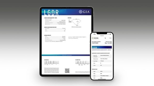 New LGDR Dossier Shown on Device New LGDR Dossier Shown on Device