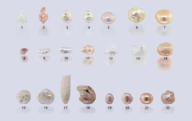 Freshwater pearls used for the blind DNA study. Freshwater pearls used for the blind DNA study.
