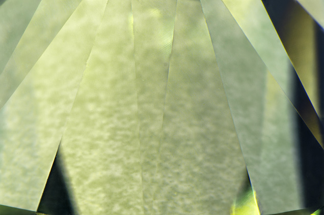 A telltale mottled green appearance could be seen.