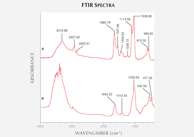 SP13 Zuowei fig12 147446 SP13 Zuowei fig12 147446