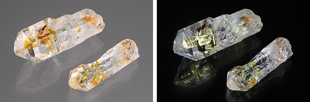 Figure 1. These two quartz crystal scepters containing a multitude of complex petroleum fluid inclusions (left) that fluoresce yellow to blue to long-wave UV light (right) are from a new deposit in Madagascar. The larger crystal weighs 11.05 ct and measures 22.81 mm in length. Photos by Annie Haynes; courtesy of Hidden Gem Gallery. Figure 1. These two quartz crystal scepters containing a multitude of complex petroleum fluid inclusions (left) that fluoresce yellow to blue to long-wave UV light (right) are from a new deposit in Madagascar. The larger crystal weighs 11.05 ct and measures 22.81 mm in length. Photos by Annie Haynes; courtesy of Hidden Gem Gallery.