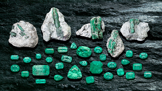 Figure 1. Emeralds in matrix and various cut stones from the Curlew mine in Western Australia. All stones were mined in 2023. The cut stones are untreated and range from 0.45 to 7.92 ct (triangular shape). Photo by Lhapsin Nillapat; courtesy of Matthew Allen (The Gemstone Trading Company). Figure 1. Emeralds in matrix and various cut stones from the Curlew mine in Western Australia. All stones were mined in 2023. The cut stones are untreated and range from 0.45 to 7.92 ct (triangular shape). Photo by Lhapsin Nillapat; courtesy of Matthew Allen (The Gemstone Trading Company).