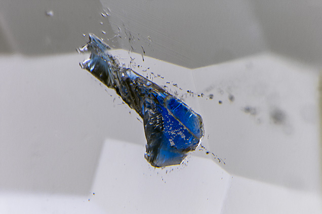 Blue lazurite in a light gray spinel.