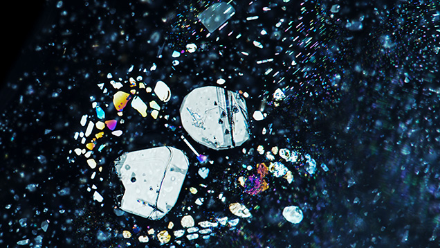 Negative crystals creating rosette pattern. Negative crystals creating rosette pattern.