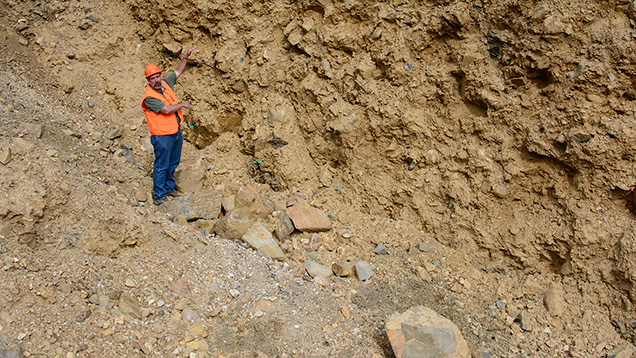 Man pointing to sapphire-containing layer on an outcrop