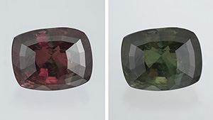 {Fine Corundum, Paraíba Tourmaline, and Alexandrite – Tucson 2014 Duncan Pay , Apr 30, 2014} - image {Fine Corundum, Paraíba Tourmaline, and Alexandrite – Tucson 2014 Duncan Pay , Apr 30, 2014} - image