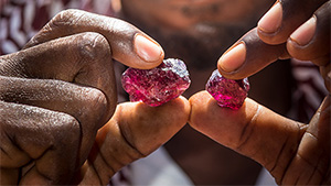 A miner in northern Tanzania examines rhodolite.