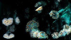 Interference thin films in Russian emerald resembling a sky filled with fireworks. Photomicrograph by Ungkhana Atikarnsakul; field of view 3.60 mm.