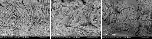 SEM-BSE images of the structure of sudoite SEM-BSE images of the structure of sudoite
