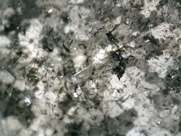Needle clusters in the carved diamond ring. Needle clusters in the carved diamond ring.