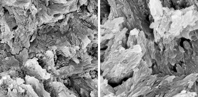 SP13-Zuowei-fig8-AB 147432 SP13-Zuowei-fig8-AB 147432