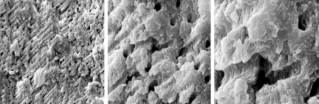 SP13-Zuowei-fig9 147431 SP13-Zuowei-fig9 147431