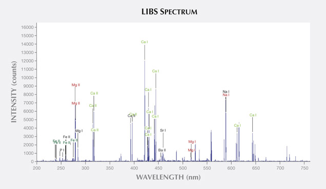 SP13 Zuowei fig15 147442 SP13 Zuowei fig15 147442
